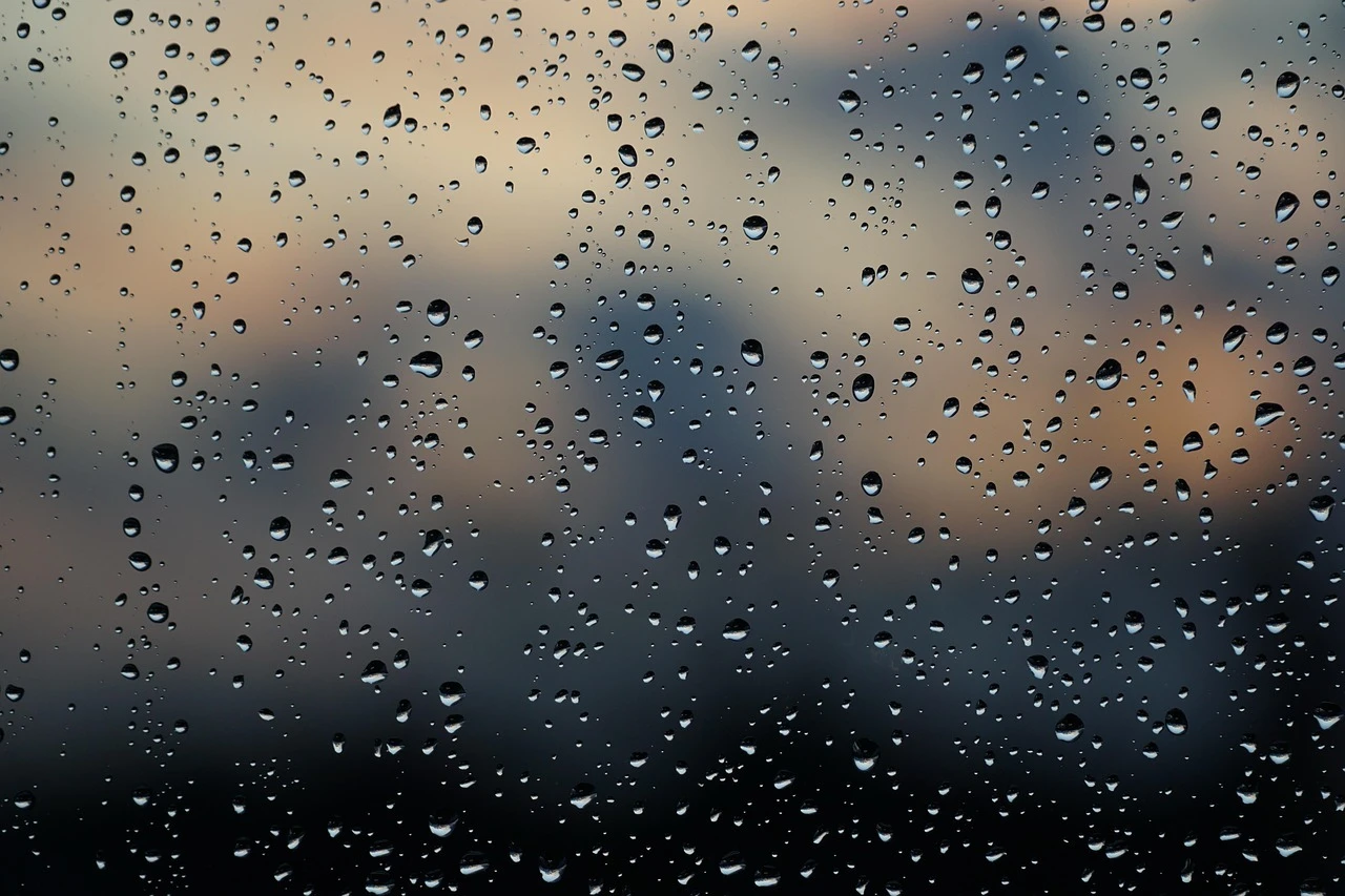 雨漏りの危険性